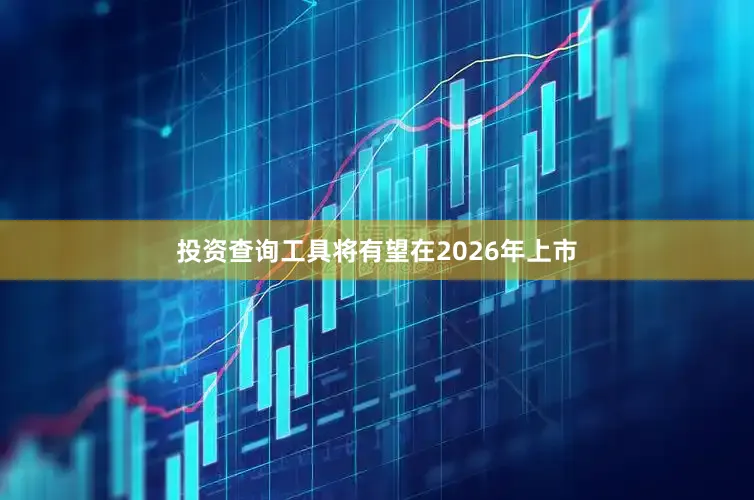 投资查询工具将有望在2026年上市