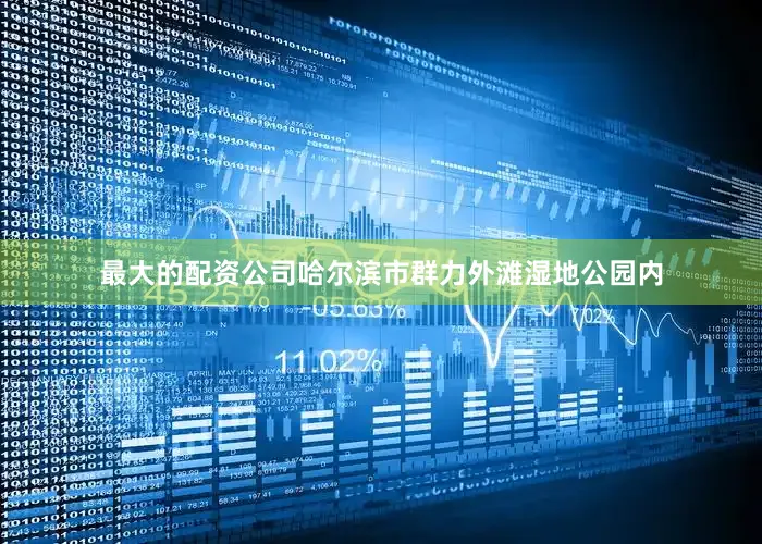 最大的配资公司哈尔滨市群力外滩湿地公园内