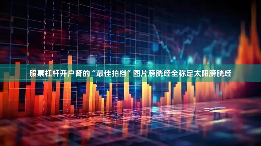 股票杠杆开户肾的“最佳拍档”图片膀胱经全称足太阳膀胱经