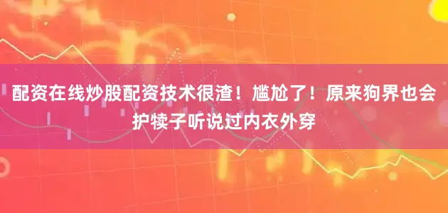配资在线炒股配资技术很渣！尴尬了！原来狗界也会护犊子听说过内衣外穿