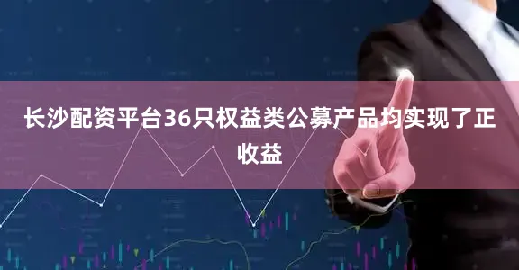 长沙配资平台36只权益类公募产品均实现了正收益
