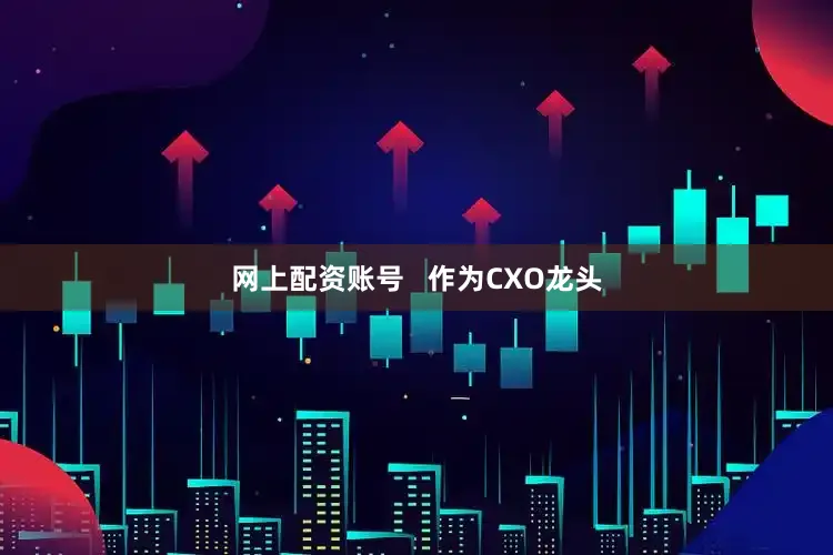 网上配资账号   作为CXO龙头