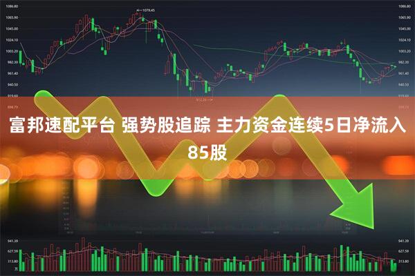 富邦速配平台 强势股追踪 主力资金连续5日净流入85股
