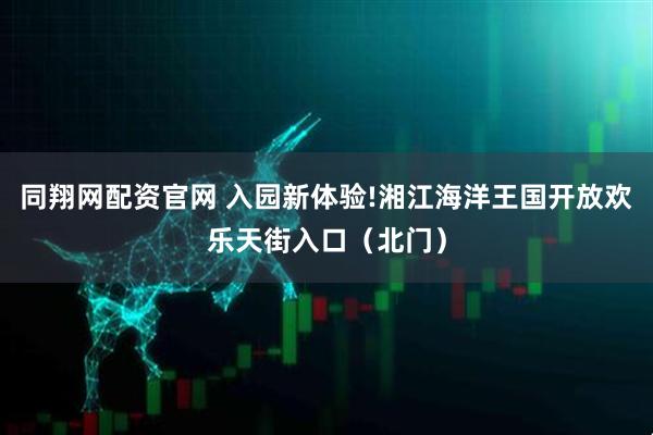 同翔网配资官网 入园新体验!湘江海洋王国开放欢乐天街入口（北门）